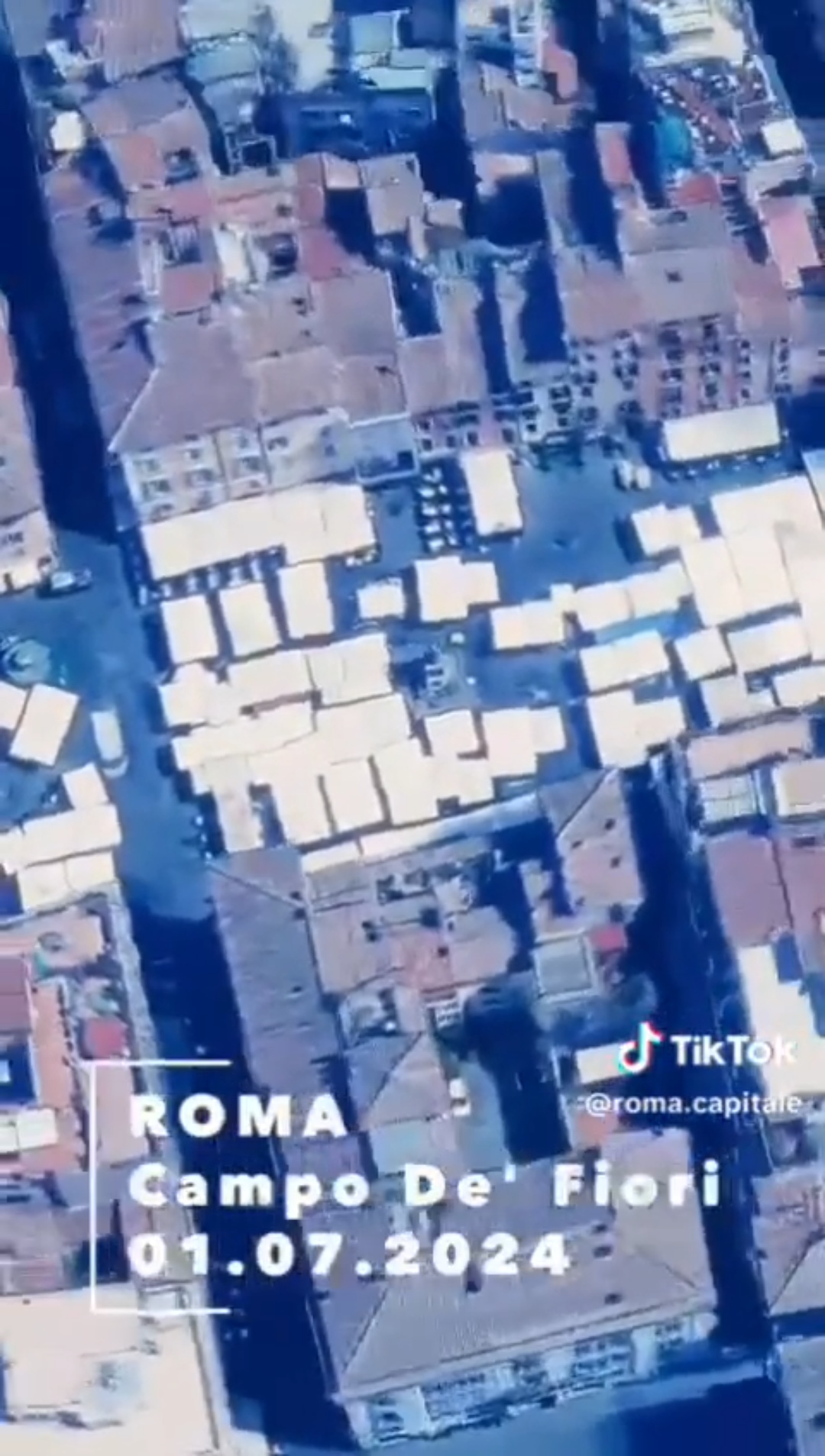 CAMPO DE’ FIORI, “UNA DELLE PIAZZE PIÙ BELLE DEL MONDO”  (ROBERTO GUALTIERI, SINDACO DI ROMA):   ARTE DI  “ANIMALIA”   [3 VIDEO]