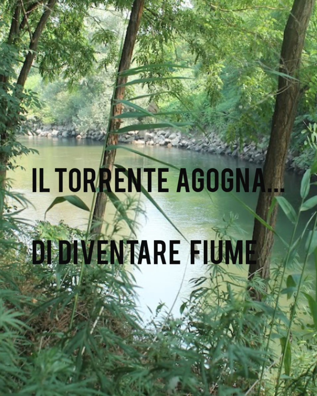 IL TORRENTE AGOGNA… DI DIVENTARE  FIUME   [Bozzetto  24;  Comuni:  VIGEVANO,  MEZZANA BIGLI,  LOMELLO  (PAVIA)]