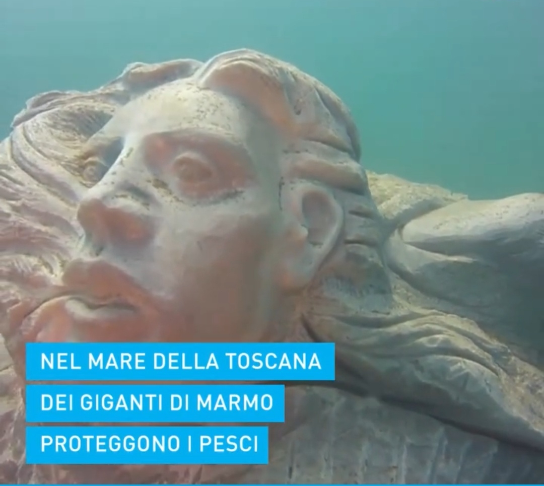 OCTO, POLPO PIÙ FAMOSO DI ANDY WARHOL, È PAPARAZZATO NELL’ ANFORA 36  DI TALAMONE   [DA CRONACA A RACCONTO;  Comune:  TALAMONE  (GROSSETO);  CASA DEI PESCI, CASA DEI POLPI]